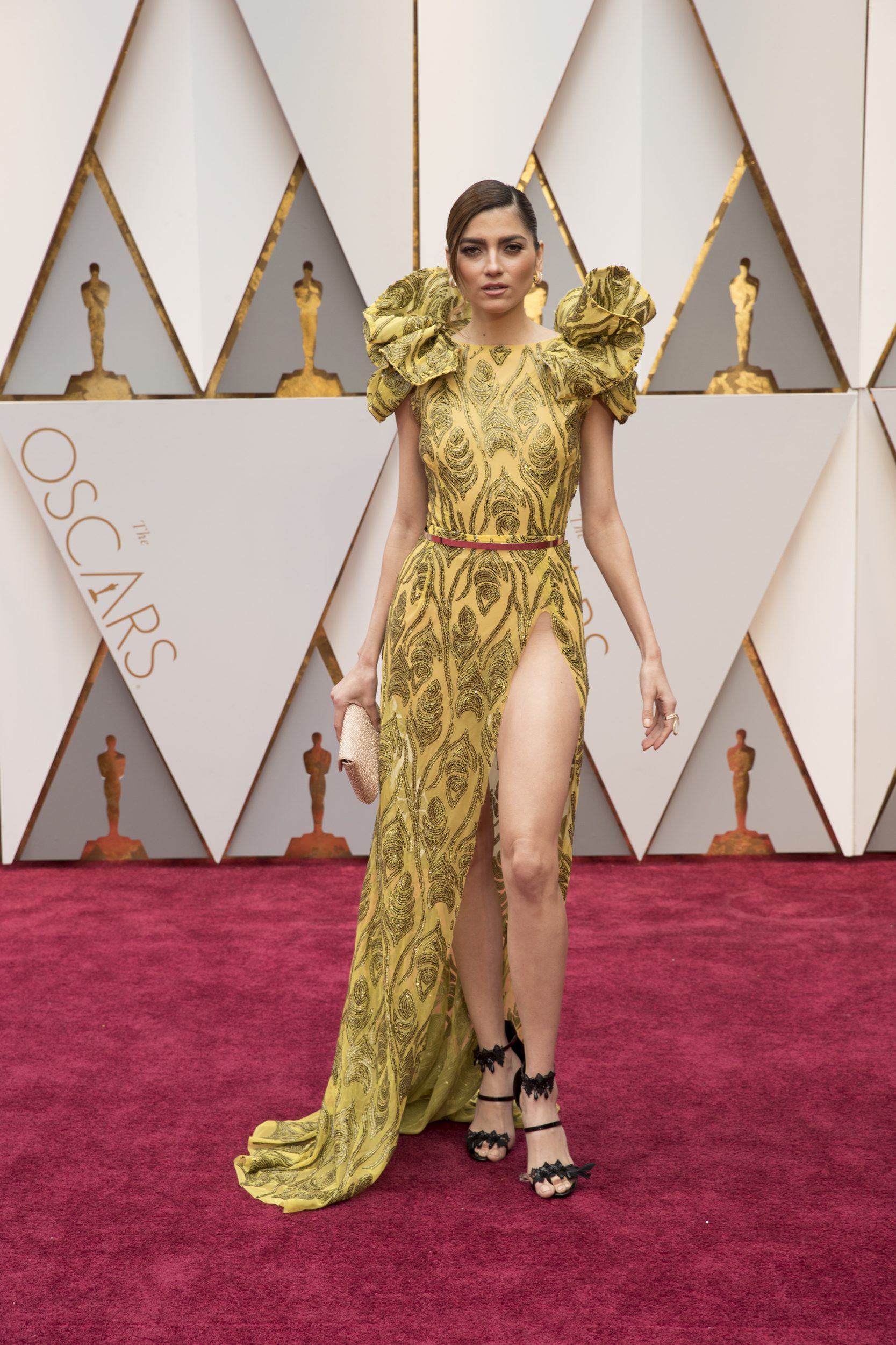 THE OSCARS(r) - The 89th Oscars(r)  broadcasts live on Oscar(r) SUNDAY, FEBRUARY 26, 2017, on the ABC Television Network. (ABC/Tyler Golden) BLANCA BLANCO